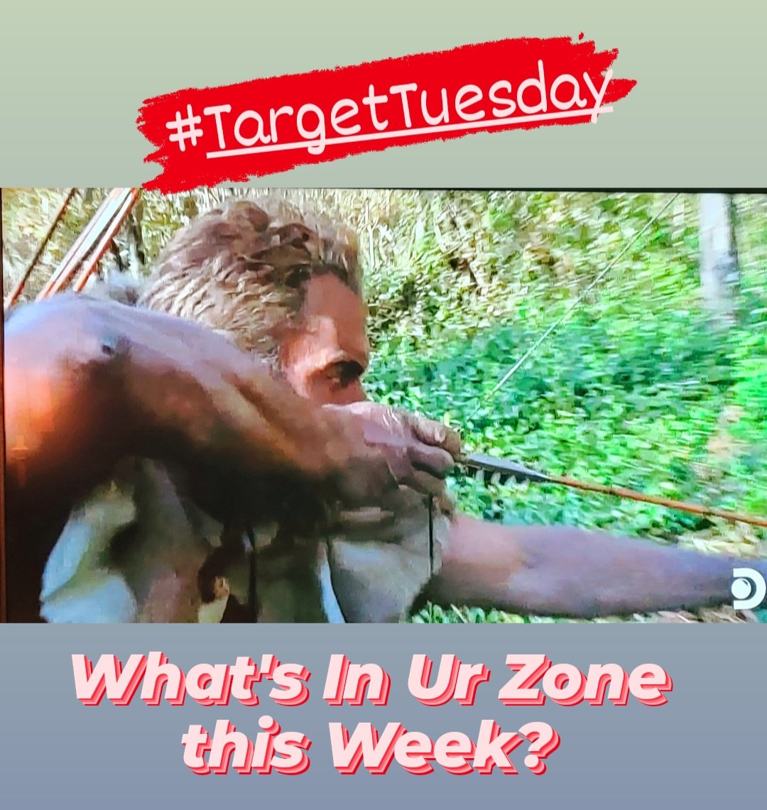 ejsnyder333's tweet photo. #TargetTuesday What's in YOUR Zone this week? Comment Below. #ej #nakedandafraid #OG #TheGodfather #Legend #Bow #Target @NakedAndAfraid https://t.co/kODocByqBU