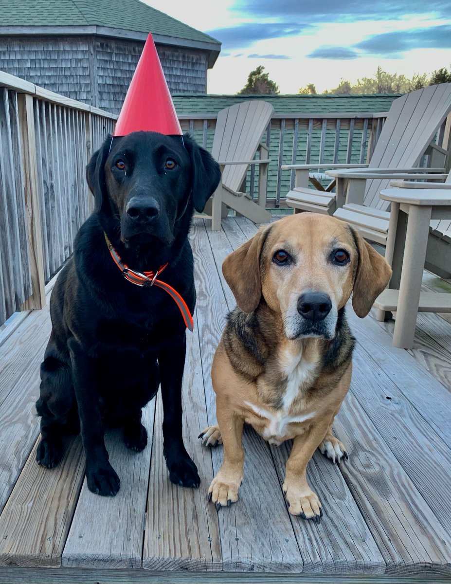 SizemoreGroupMS's tweet photo. Happy National Pet Day! Meet the Sizemore Group pets. Today we celebrate them, giving us unconditional love and companionship. Take a moment to appreciate your furry friends today! 

#NationalPetDay #MorganStanley https://t.co/FVNeCa5Ja7