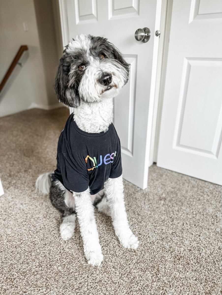 Quest's tweet photo. Happy Pet Day from some of our beloved Quest pets! 🐶🐰😺🐴

You bring us endless joy and make life (and work) all that much better.

#PetDay #NationalPetDay #WeAreQuest https://t.co/VLqDU6jA9A