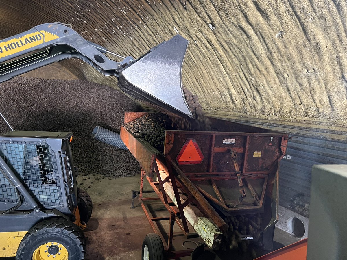 bradmarg33's tweet photo. Potato seed cutting has started #plant23 #simplot https://t.co/PKCaEeKFPp