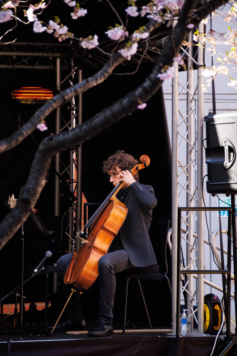 BCMG's tweet photo. We were very lucky to have many talented photographers snapping away at our Cherry Blossom Concert 🌸 Have a look at our gallery and see if you can spot yourself in the crowd: https://t.co/raOIerMbtW https://t.co/13qCKWO407