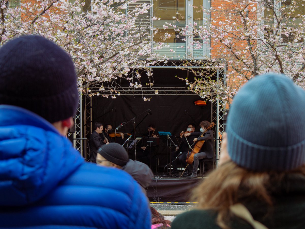 BCMG's tweet photo. We were very lucky to have many talented photographers snapping away at our Cherry Blossom Concert 🌸 Have a look at our gallery and see if you can spot yourself in the crowd: https://t.co/raOIerMbtW https://t.co/13qCKWO407