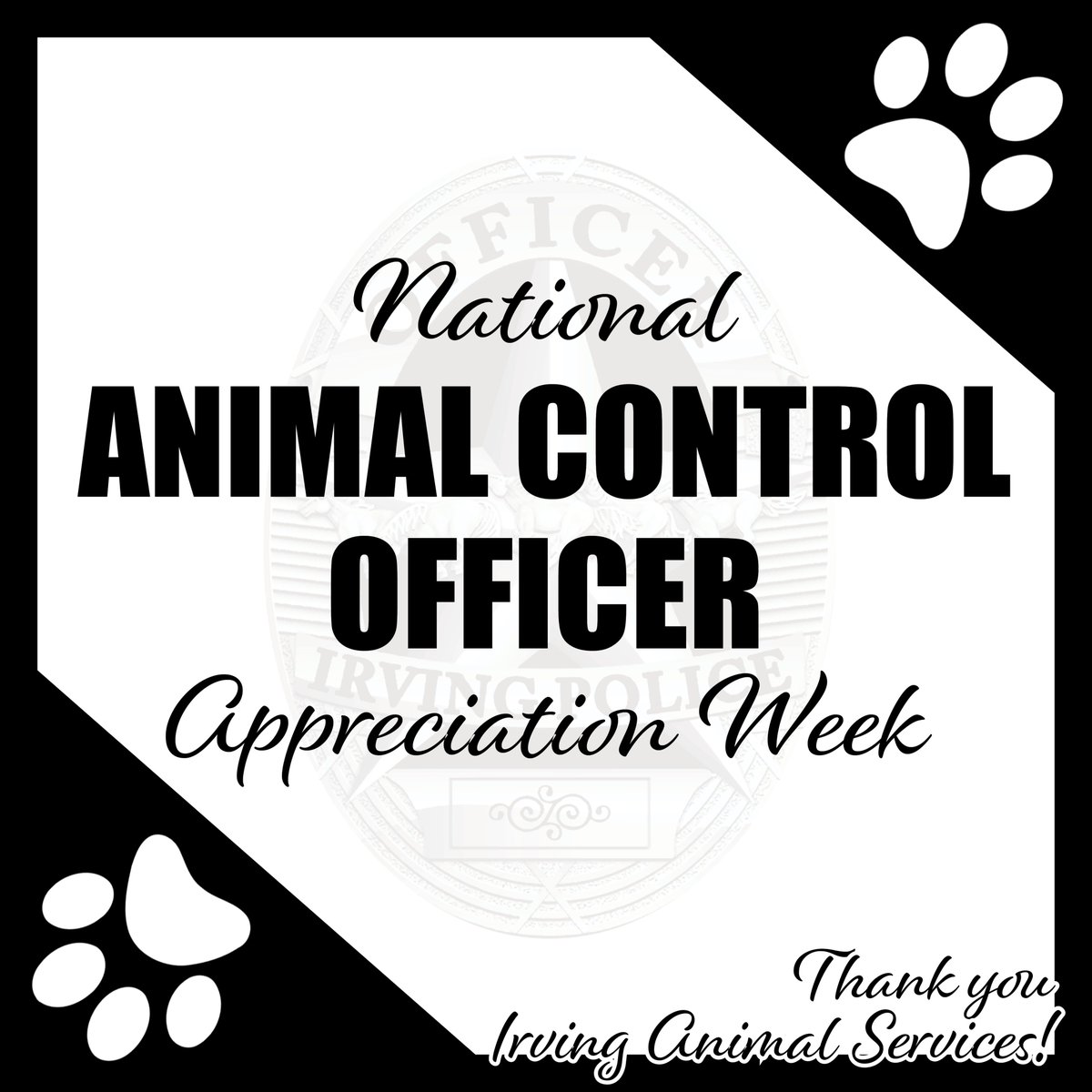 IrvingPD's tweet photo. Happy Animal Control Officer Appreciation Week, Irving Animal Services!! 

Please help us recognize &amp; thank our amazing ACO's for all that they do to help animals &amp; people in our community. 

1/2

#AnimalControlOfficerAppreciationWeek https://t.co/JqUxWdv6sx