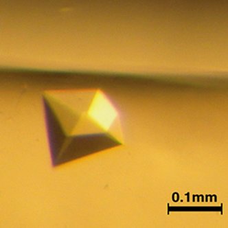 DrHorrell's tweet photo. Pedro Pascal as protein crystals, Pedro crystals, and Pedro diffraction. A Thread. https://t.co/uv61dRY5WH