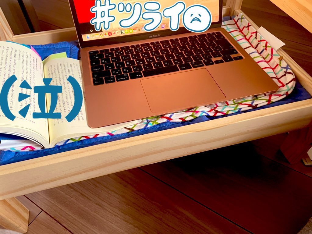 burokoly's tweet photo. 今日は猫ちゃんに椅子を独占されたので、代わりに猫ちゃんのベッドを机がわりに床で論文作業をしてました。

下僕ですので… https://t.co/MhGTpkl5dA