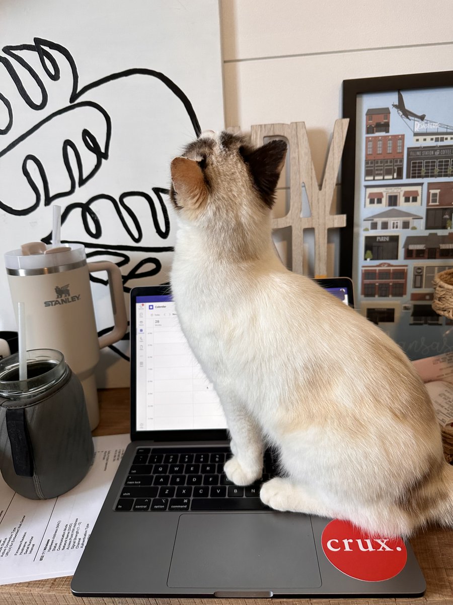 FindYourCrux's tweet photo. Elton may be our trusty office dog, but these furry friends have our hearts! Happy #NationalPetDay to the animals of Crux! #FindYourCrux https://t.co/kfSlFCjHGg