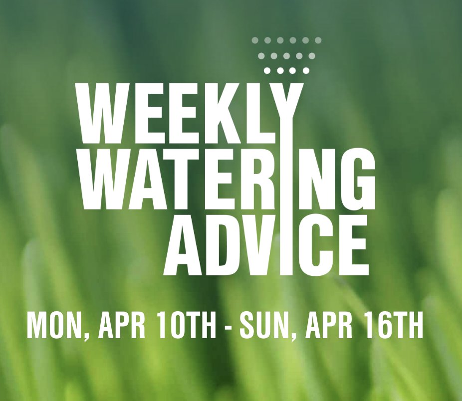 Lee_Since1971's tweet photo. It's been a while since we've posted weekly watering advice!

The recommended watering amount this week is 0.0 to 0.25 inches. The weather will be pretty warm this week, but there are chances for rainfall this weekend. For more information, head over to https://t.co/Bk4keUOufV 💦 https://t.co/jTg9vXAftQ