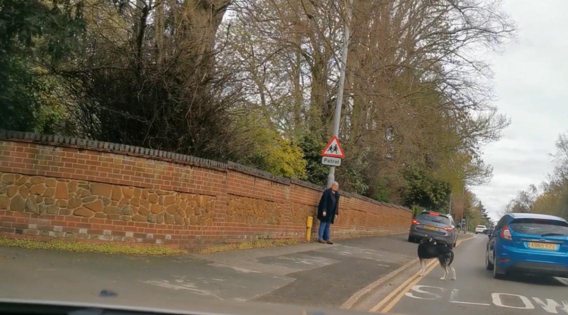 Eastern Daily Press on Twitter "A dog on the road is causing traffic