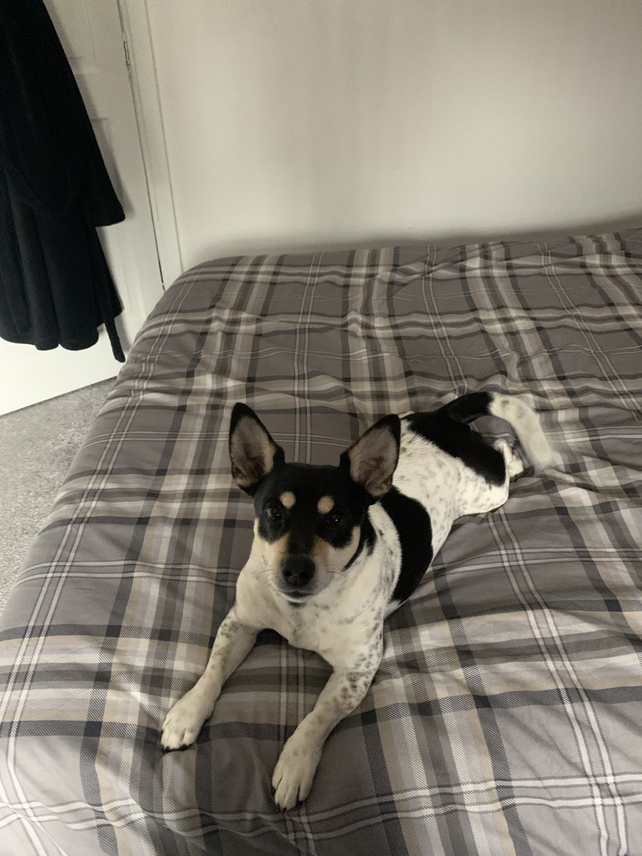 w7sty's tweet image. 