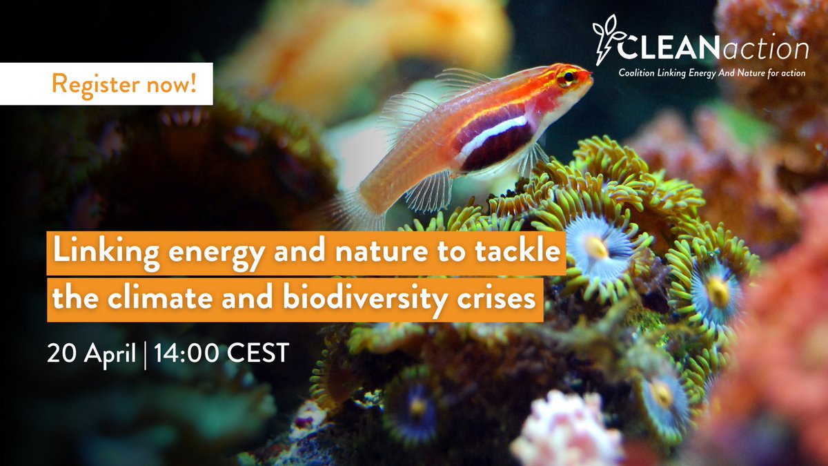 Have you registered yet? Join us next week for this virtual event about how we can protect nature during the energy transition.

🕐 14:00 CEST
📅 20 April
📍Register: bit.ly/CLEANactionRep…