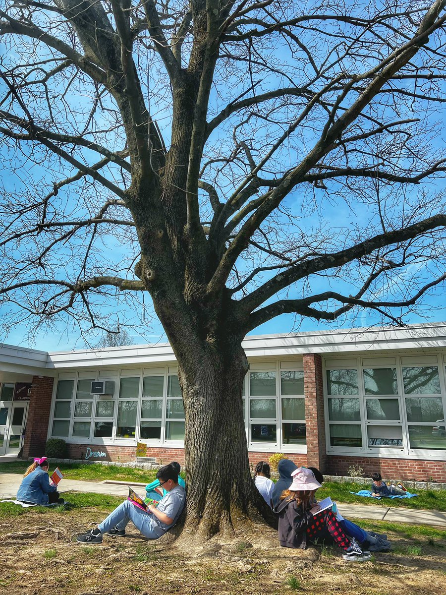 Can all days be like this 💐 #springreading @OssiningSchools @MrsAltobelliRm9 @MrsECrampton @MsJackieSagas #room9owls 🦉