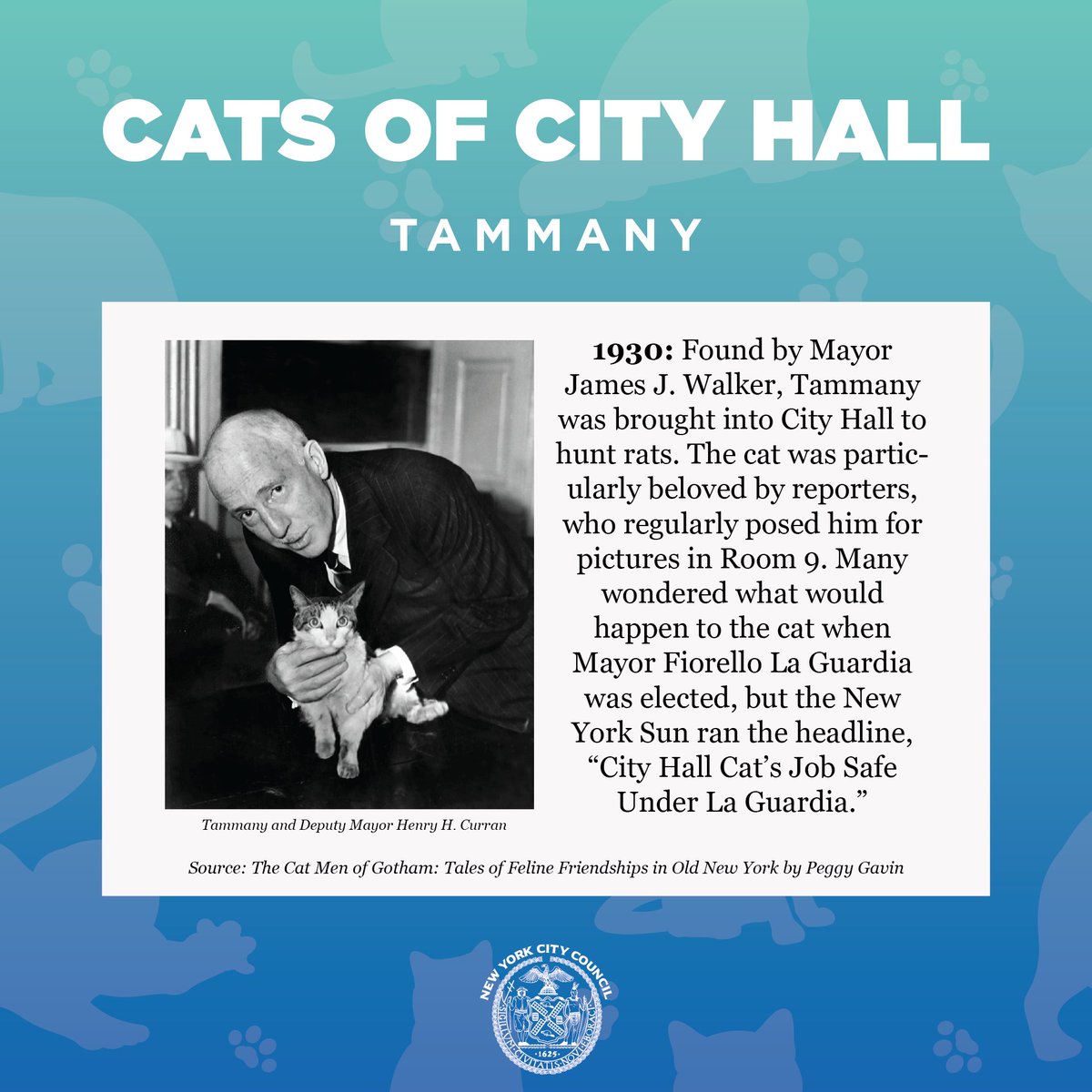 New York City Council on Twitter "Tammany was the second cat to call