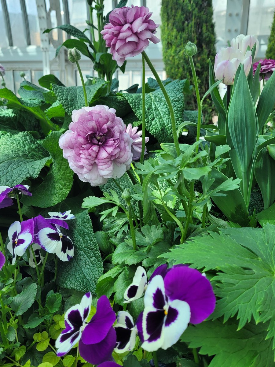 Rita Strack tweet media