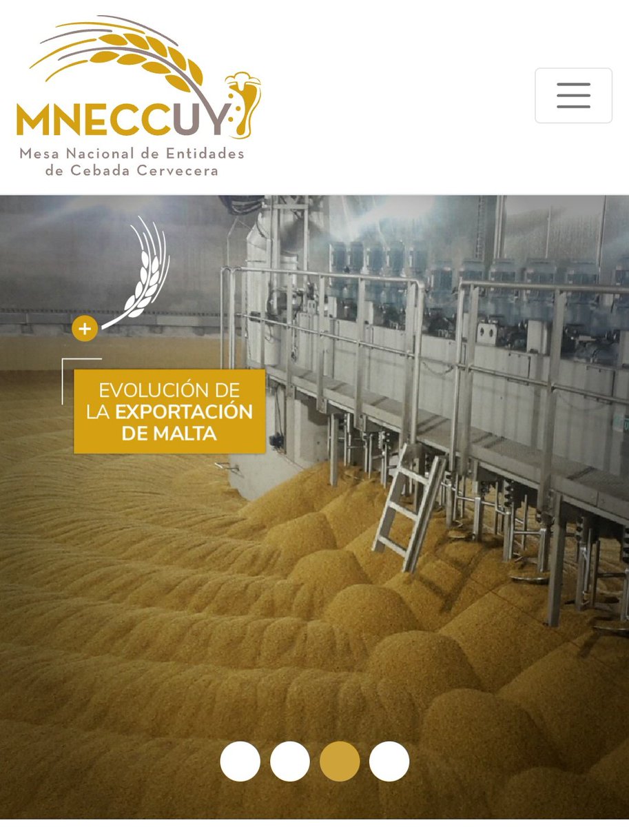 🤳 Hoy lanzamos nuestra página web! Los invitamos a conocerla: 
mnecc.uy