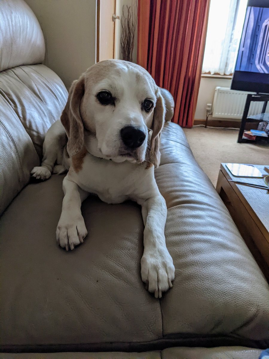 <a href="/madebygoogle/">Made by Google</a>