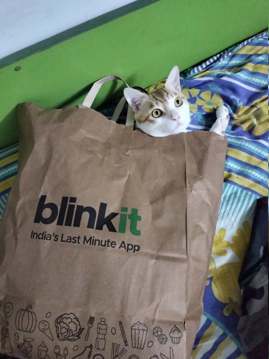 Nexusagainfr's tweet photo. @blinkit  i think i received the wrong order  pls refund kro https://t.co/QNODfTiJ2k