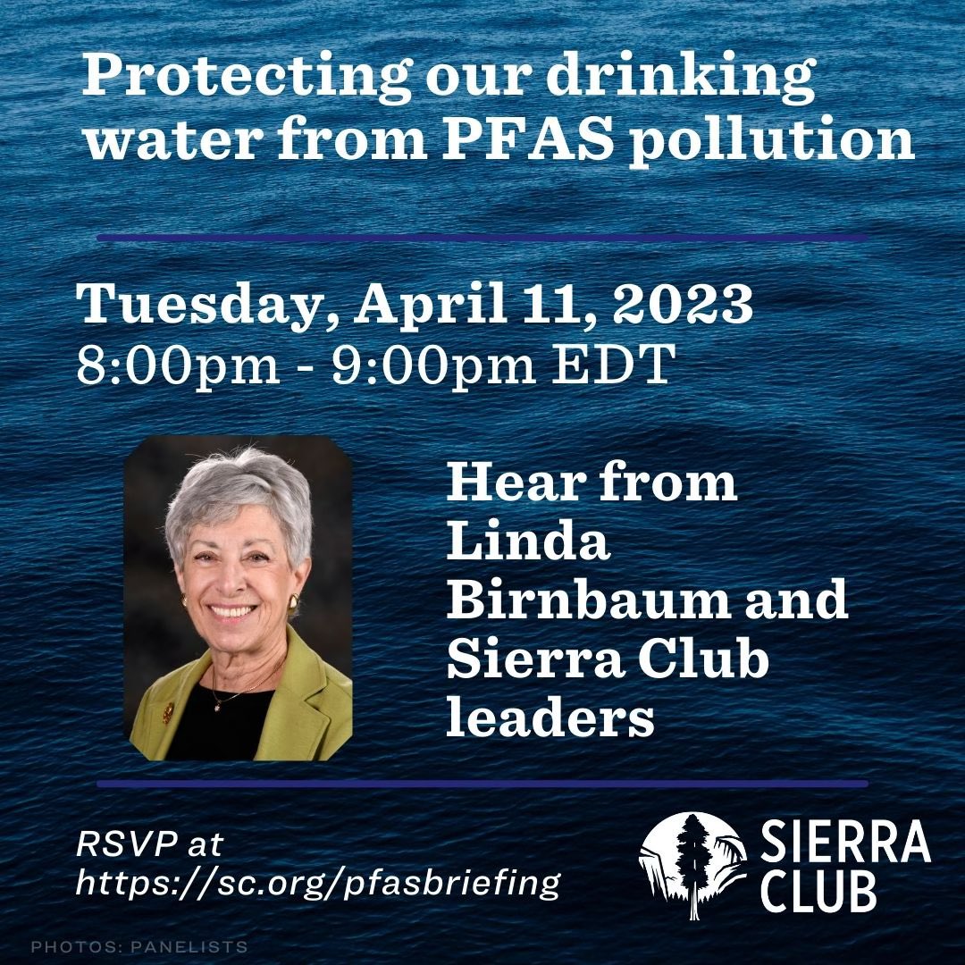 Disgusted by Trump tweet media