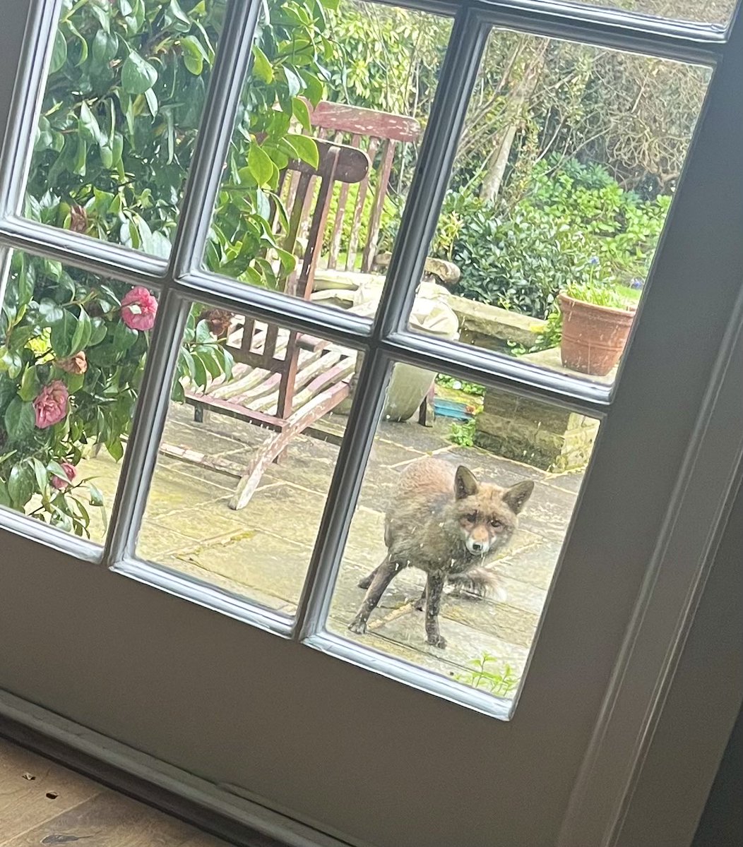 Jane Fallon on Twitter: "Afternoon, gorgeous"