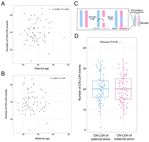 hmg_journal's tweet photo. Genome-wide identification of copy neutral loss of #heterozygosity reveals its possible association with spatial positioning of chromosomes
https://t.co/9pHZ8n0MeD #mosaicism https://t.co/956278riRd