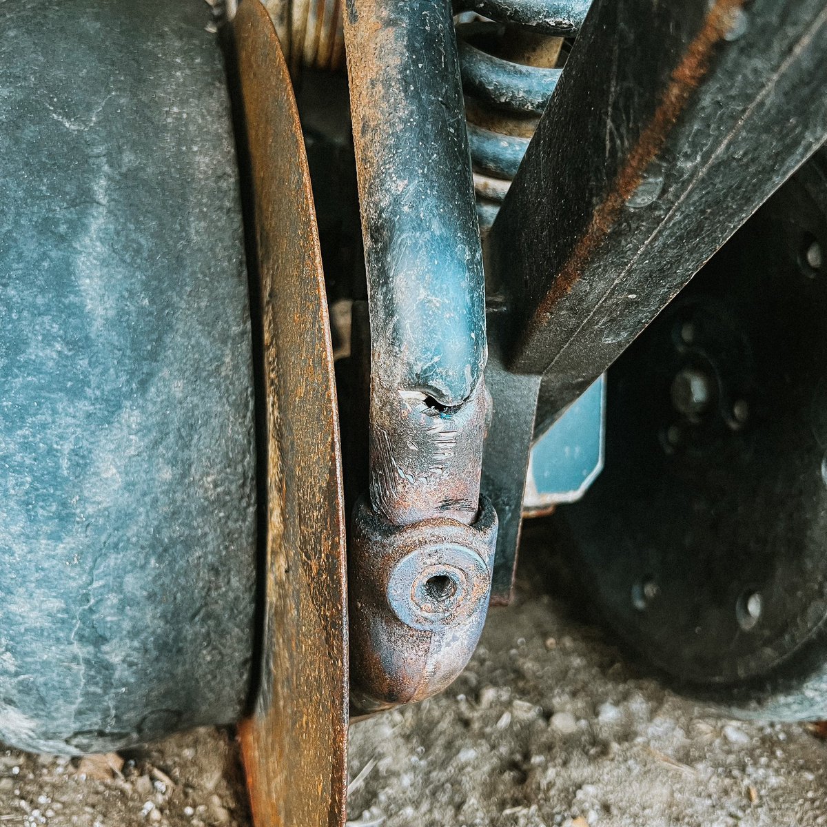 MacKinnon Brothers Brewing Co tweet media