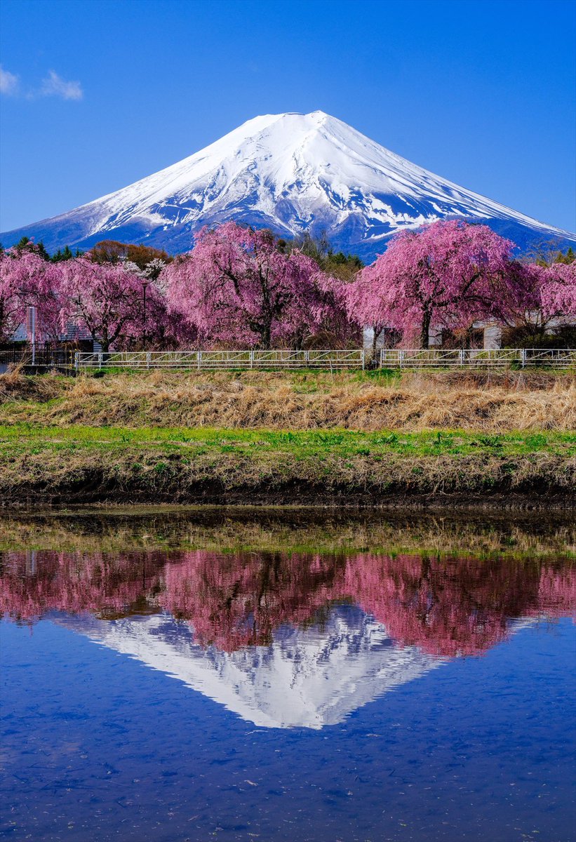 先日の富士吉田市からの 光景です。素晴らしい逆さ富士でした🌸 マルミ MAGNETIC SLIM FILTER ADVANCED KIT PLフィルター使用