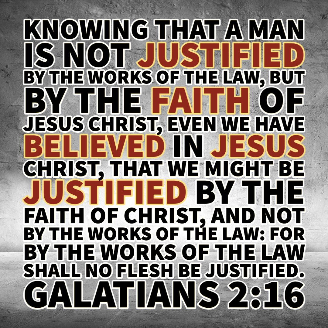 RightDivide1611's tweet photo. Romans 3:24 (KJV)
Being justified freely by his grace through the redemption that is in Christ Jesus:”
#grace #gracemessage #gospel #gospelthatsaves #graceambassador #dispensation #dispensationofgrace #rightdivision #rightlydividingthewordoftruth
#Jesussentpaul #jsp #midacts https://t.co/404gkmNirT