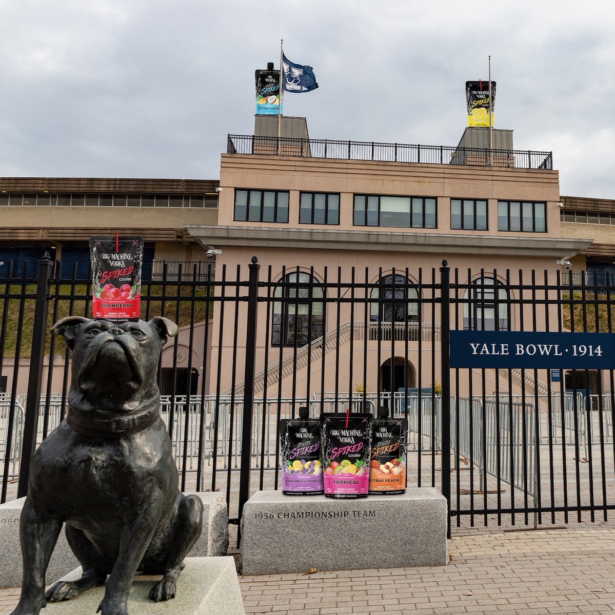 SpikedCoolers's tweet photo. Spiked Coolers have made it to Connecticut! Click the link in our bio to find us near you📷
#spikedcoolers #connecticut #bigmachinevodka #travel #travelwithspiked #rtd #vodka #cocktail #calories #bigmachine #drinking https://t.co/v7ROhEv1dS