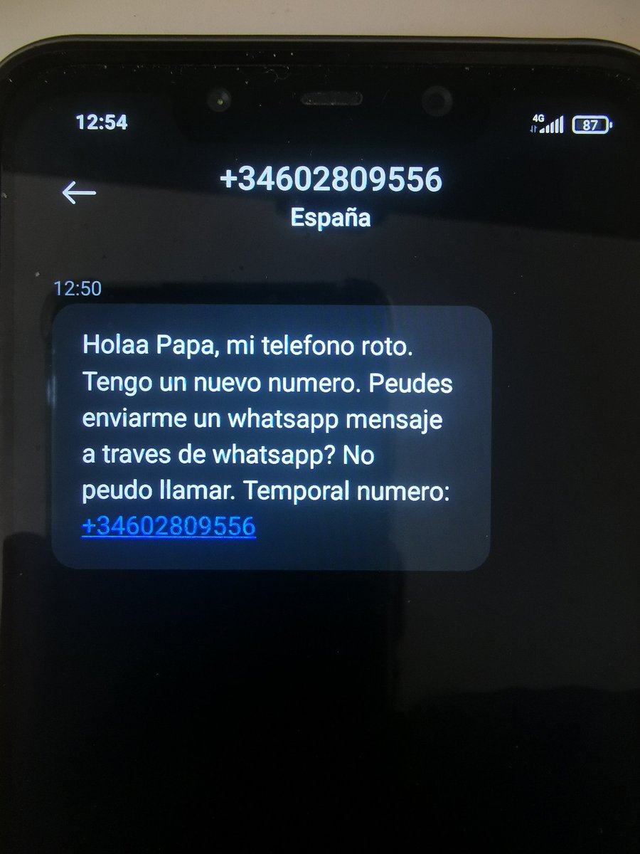 SeabiscuitNT's tweet photo. Buenas tardes @policia , el timo del hijo en problemas: https://t.co/xVnz7yeDbw
