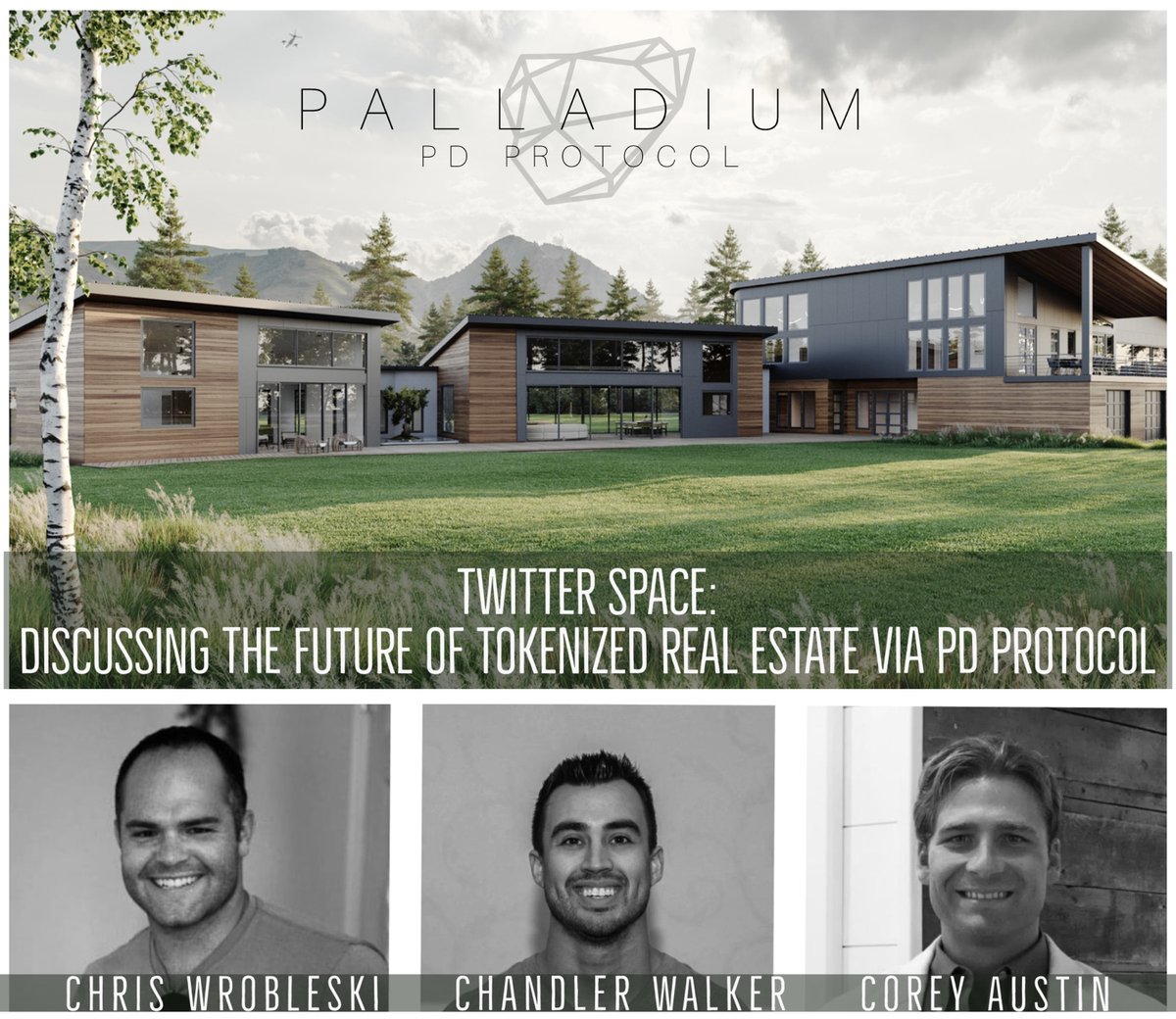 Palladium_PDP's tweet photo. Set your calendars! We're hosting a discussion on @Twitter Spaces this Friday! April 14th, at 2:30pm PST, 5:30pm EST. https://t.co/152Zb2AnKI