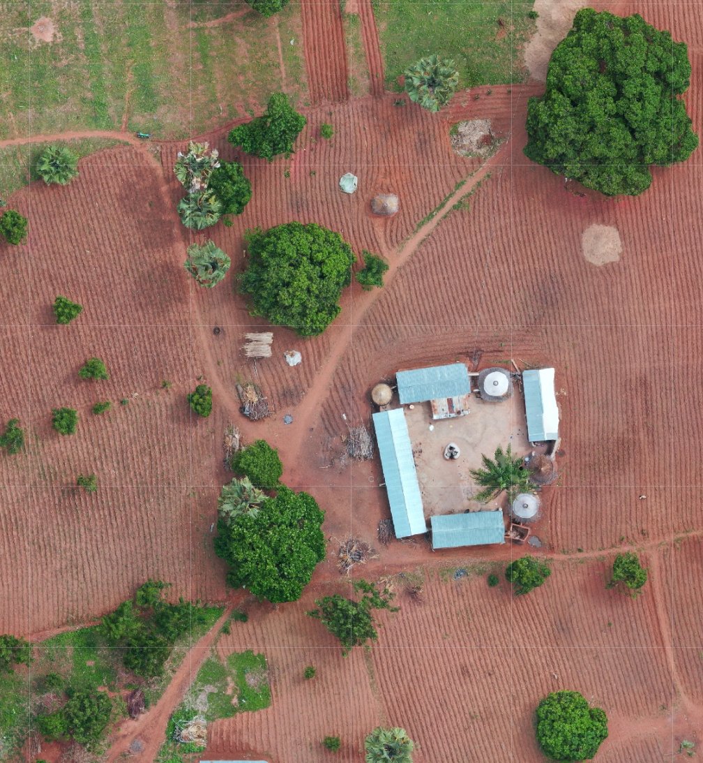 devon_maloney's tweet photo. Wanted to try this out with some of my #droneimagery as well -- so excited by the potential! #segmentanything https://t.co/MGxkiLKaLC