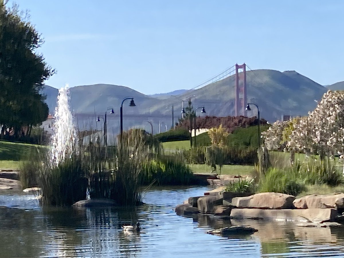 GraphicalBear's tweet image. THIS PARK IS SO FUCKING PRETTY