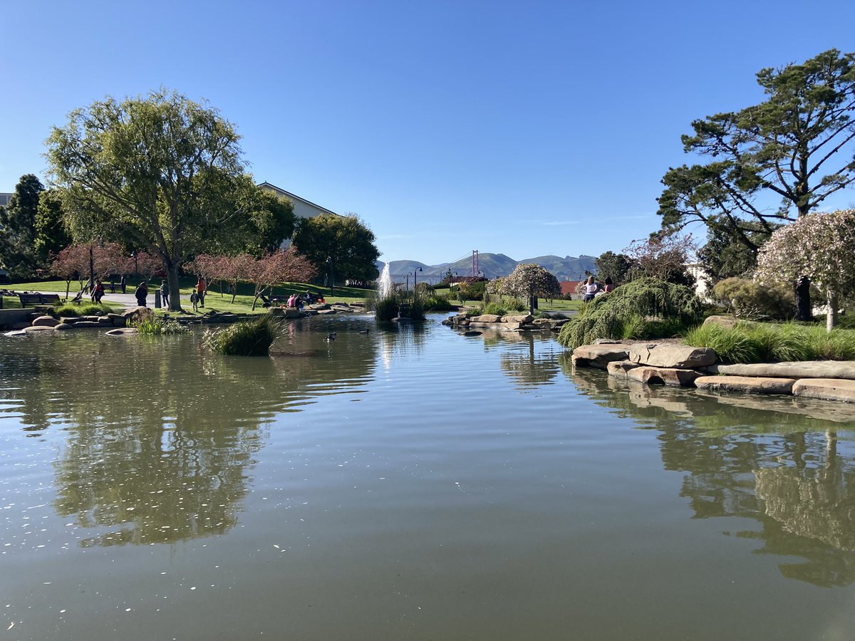 GraphicalBear's tweet image. THIS PARK IS SO FUCKING PRETTY