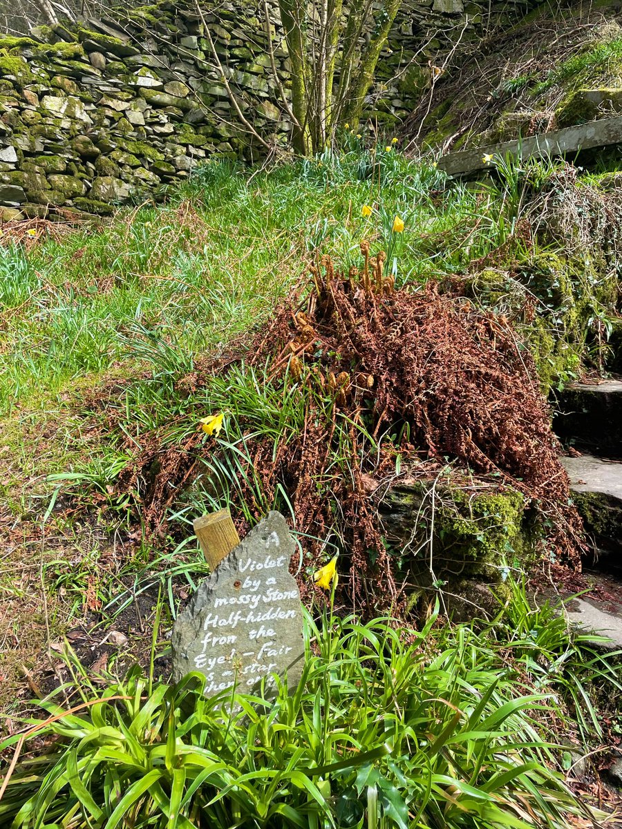 Dove cottage 🕊 🤍🎀 

“Little we see in Nature that is ours; We have given our hearts away, a sordid boon!”-W.W

#TheLakes #DoveCottage #romanticism #Grasmere  @WordsworthGras