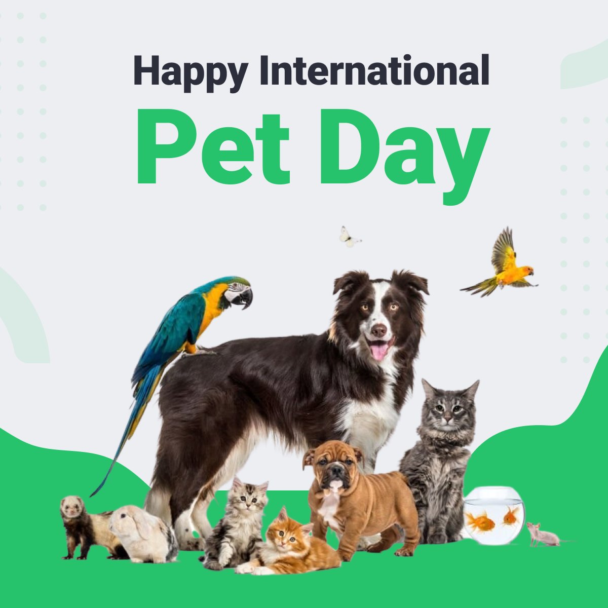 ManageYourTime's tweet image. Happy International Pet Day! 🐾 Did you know that having pets in the workplace can boost employee morale, reduce stress levels, and increase productivity? Share your pet photos with us in the comments below! #InternationalPetDay #PetsAtWork #ProductivityBoost 📷❤️