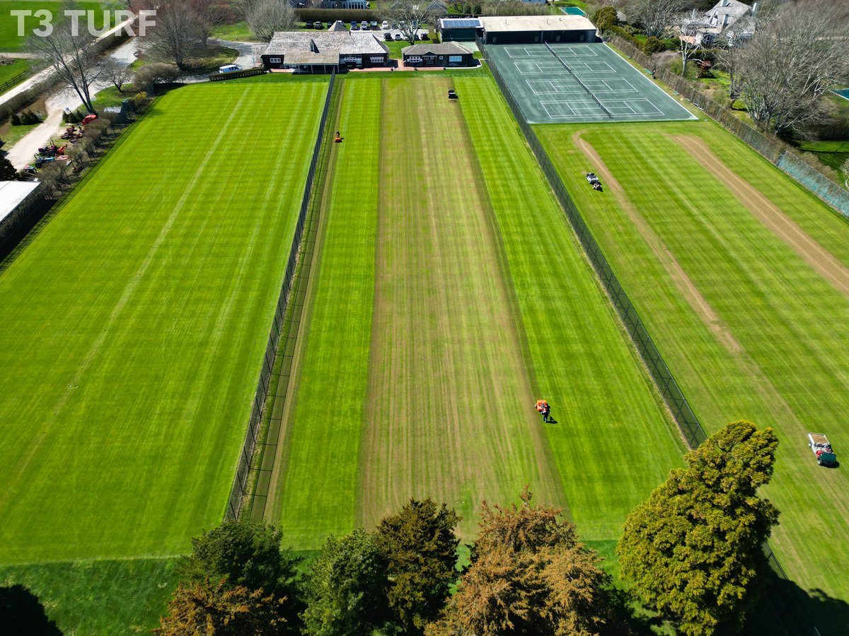 Michael Sheehan tweet media