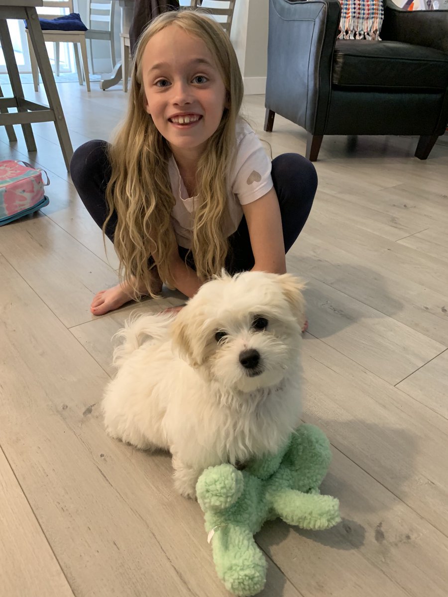 Mike Critch Campbell tweet media