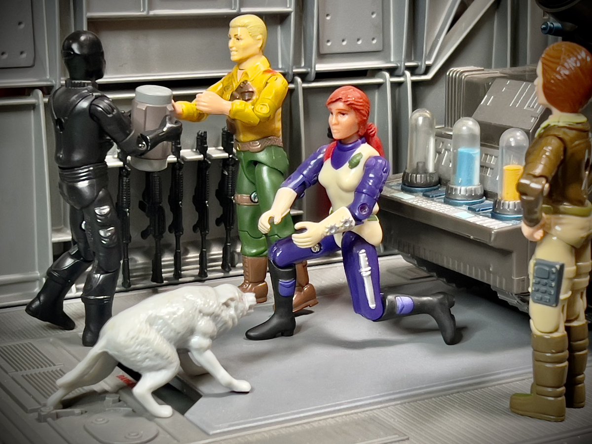 DokSewage's tweet photo. bad dog ☠️
happy #nationalpetday 😬
#gijoe #cobra #toyphotography #vintagejoes #gijoenation #oring #arah #actionfigures #snakeeyes #duke #scarlett #covergirl #doc #timber #massdevice https://t.co/iWGOIJaQQo