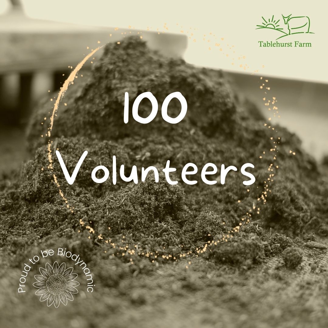 Volunteer Newsletter - mailchi.mp/37185c9867d7/v…