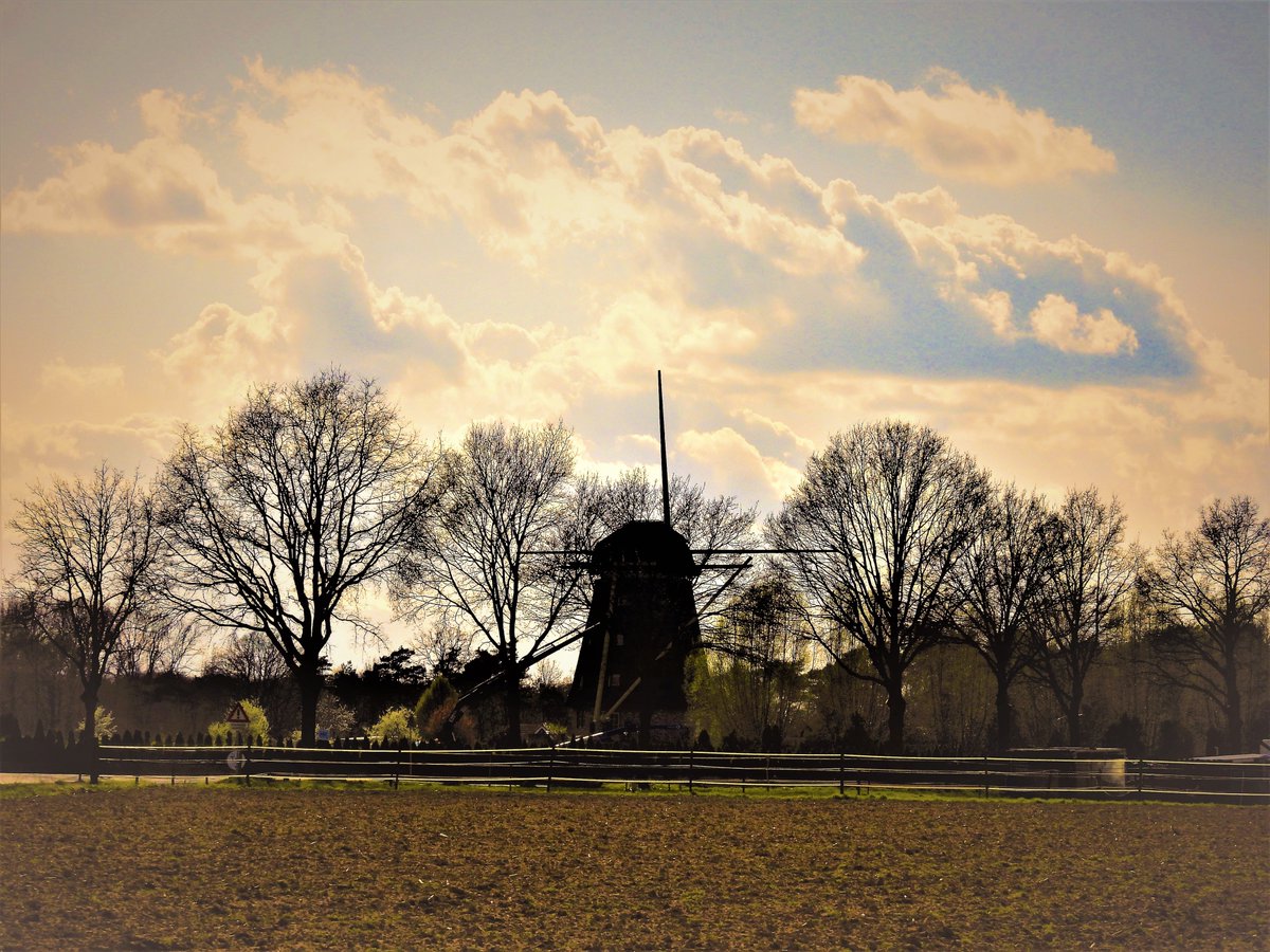 Dat is nog een hele klus wieken aanbrengen op de molen van Maasrijk Blitterswijck...........