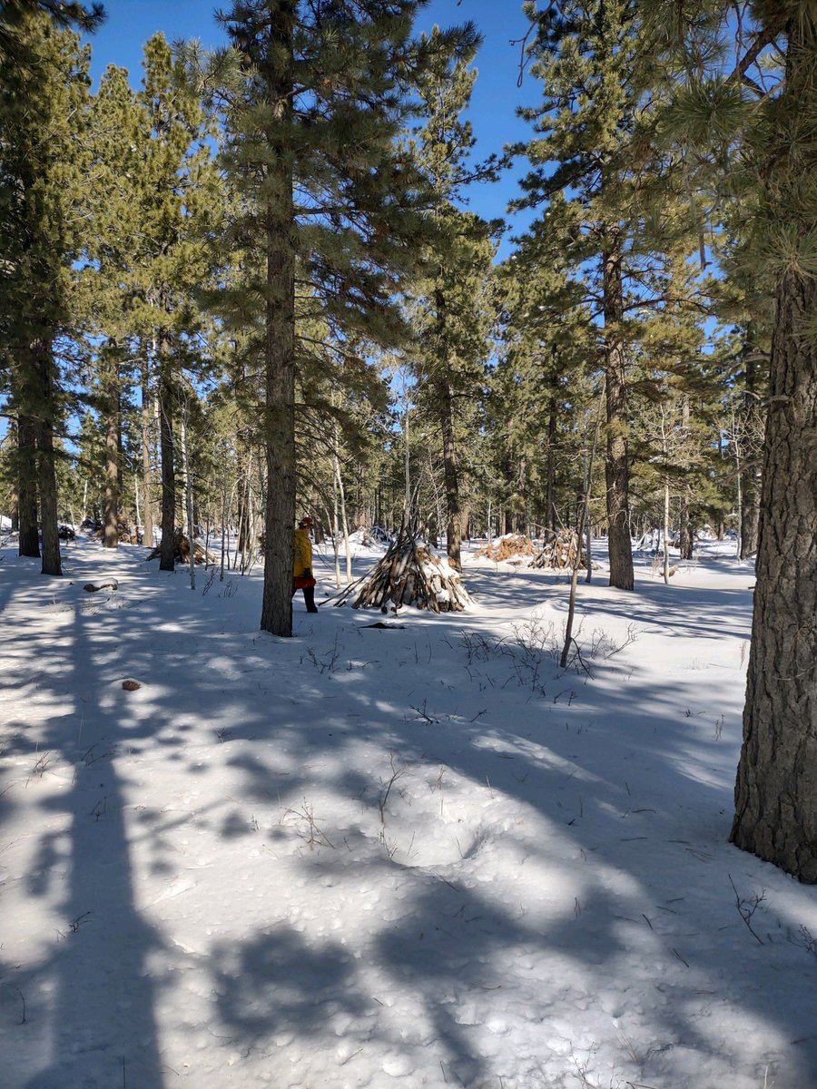 UtahWildfire's tweet photo. Fire personnel plan to burn 8 acres of slash piles near East Zion along the North Fork Rd & East of Zion Ponderosa Ranch in southern Utah. Minimal smoke may impact the surrounding area. Use caution when traveling in the area. #fuelsprojects #mitigation https://t.co/pmE21iMmSL
