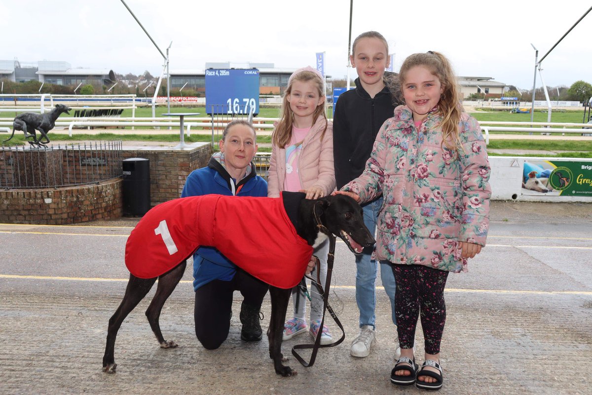 adachikennels's tweet photo. I think the weather affected play today and Freddy’s meet and greet was a little quieter than normal, however it was lovely to meet the children today and answer their questions 🙂

Below is one of the photos taken ! 
@HoveGreyhounds #getthekidsinvolved https://t.co/92CuwJsQOL