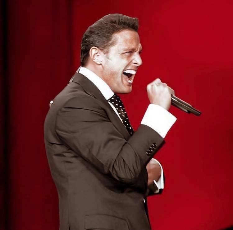 Ir a un concierto de Luis Miguel y amanecer sin voz es mi sueño frustrado.