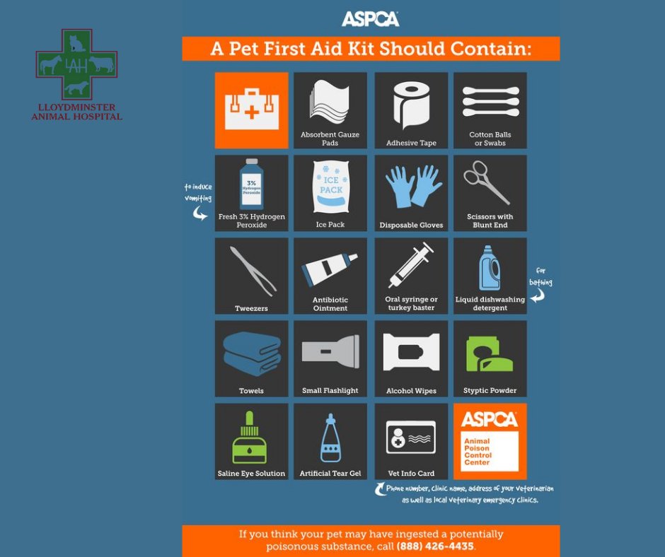 Are you ready for emergencies when it comes to your pet?  Here is a handy guide for a few things that you should have on-hand.