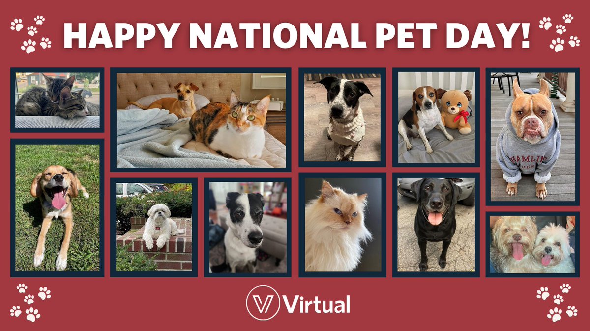 Today is a paw-some day to show some extra love and appreciation for our furry companions! Happy National Pet Day from Virtual! 🐾🐶🐱🐰 #NationalPetDay #FurryFriends #PetLove
