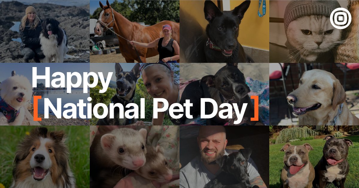 Infobip's tweet photo. Happy #NationalPetDay from #Infobip! 🎉
Whether you have a dog, a cat, or even a horse, give your furry friends an extra hug today. 🤗
Check out our #Bippers with their pawesome pets. 😍
#WorldsConnected https://t.co/lsxci8syce