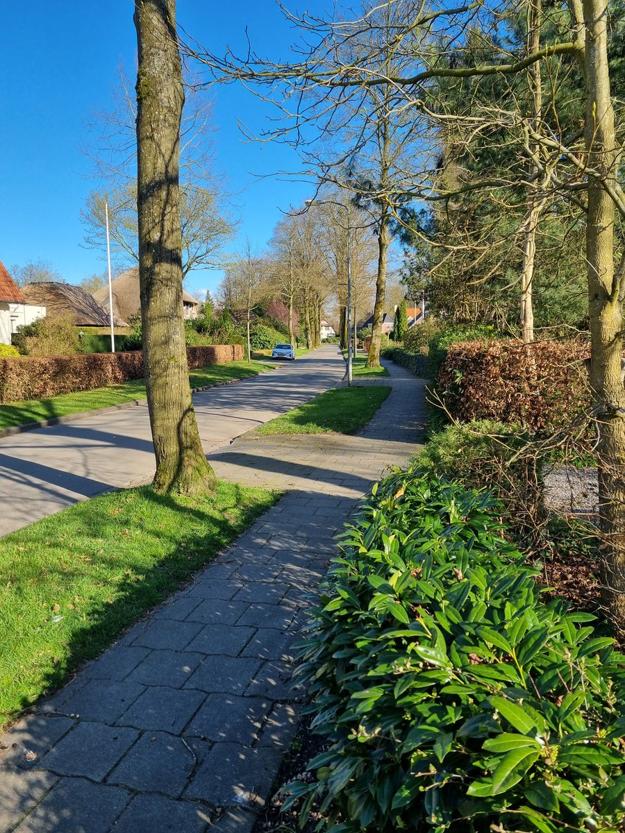 WA_Epe_Oene's tweet photo. Snelheidscontrole Burg. v. Walsemlaan tussen 17.45 uur en 18.00 uur. 7 overtreders #30zone. Peter https://t.co/wPE4ZazjjA