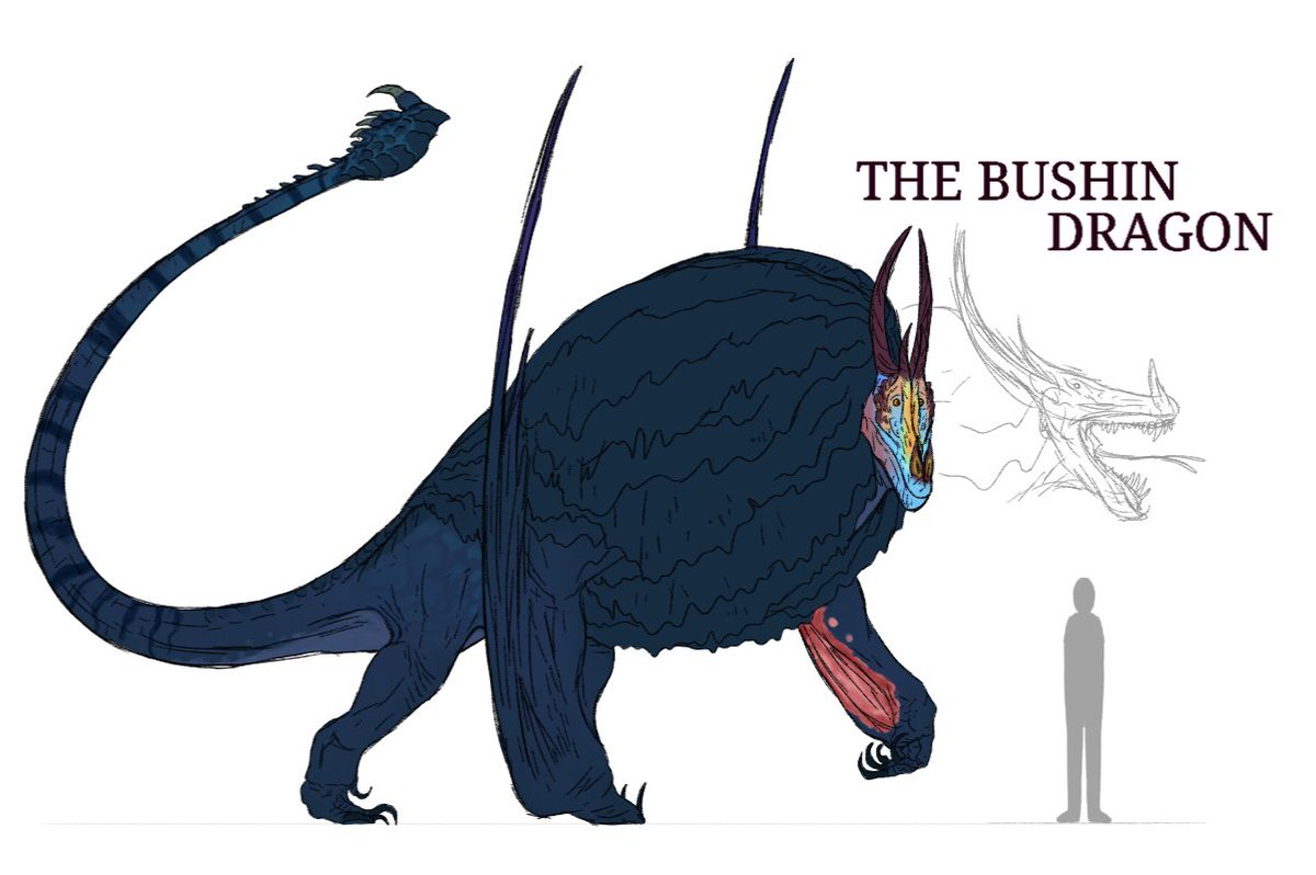 Heres a bit of #speculativebiology of a #dragon species, known with the deep lush jungles the bushin dragon is known for its bizarre like fur but in reality is thin skin and form on layers on one another to for a mane like a lion, they're also known for being very poisonous.