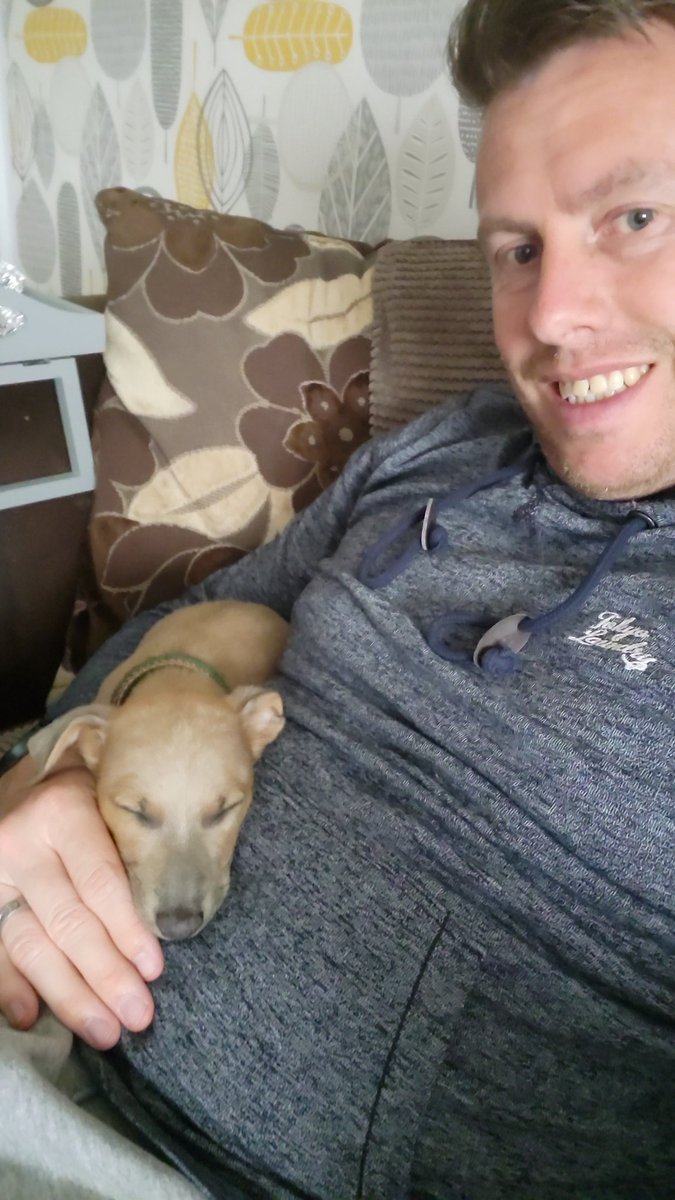 Gupster81's tweet photo. Welcome to the family Dudley 😍😍
#ItalianGreyhound
#8WeeksOld https://t.co/jkg3sa4HsZ