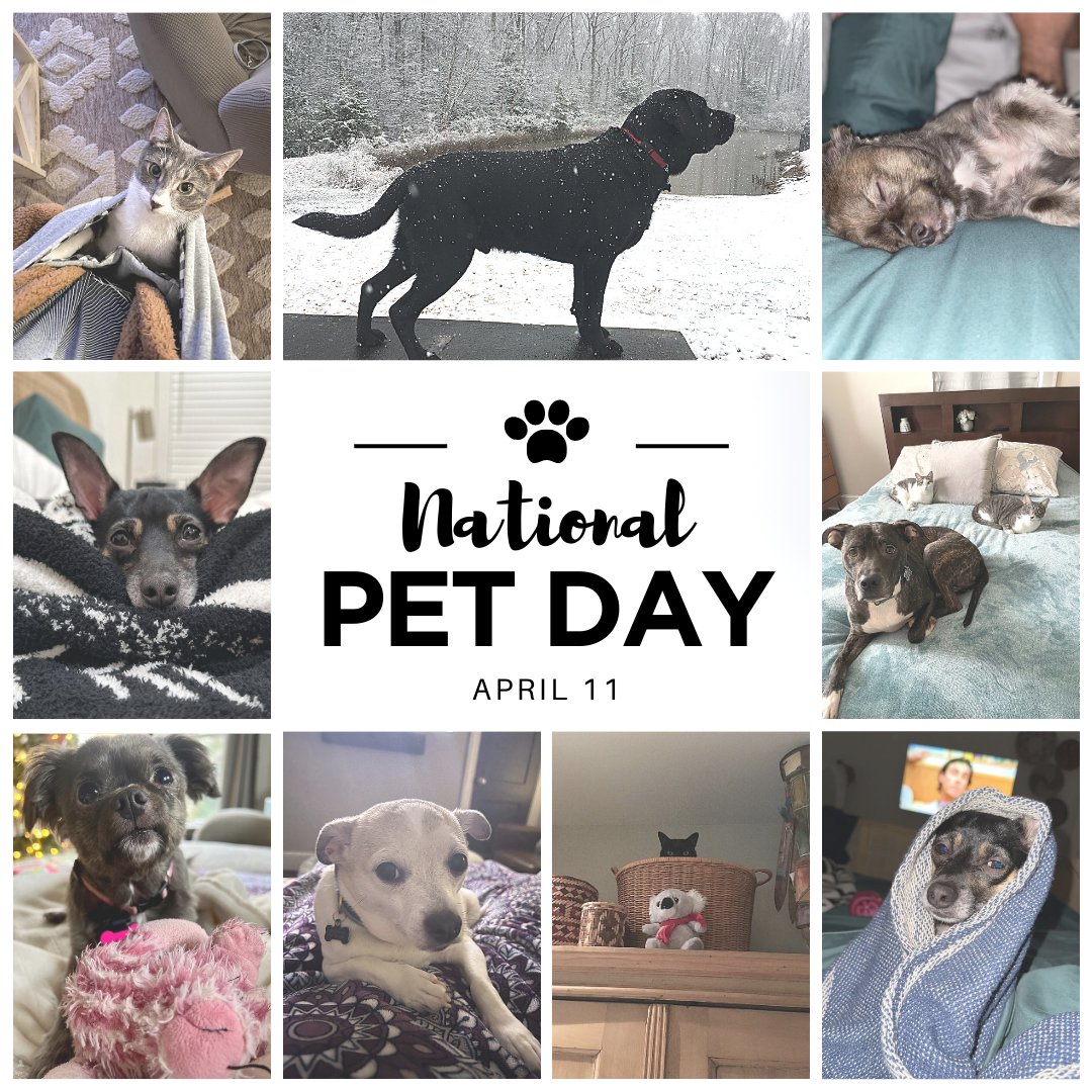 Happy #NationalPetDay featuring our Prime pets😎