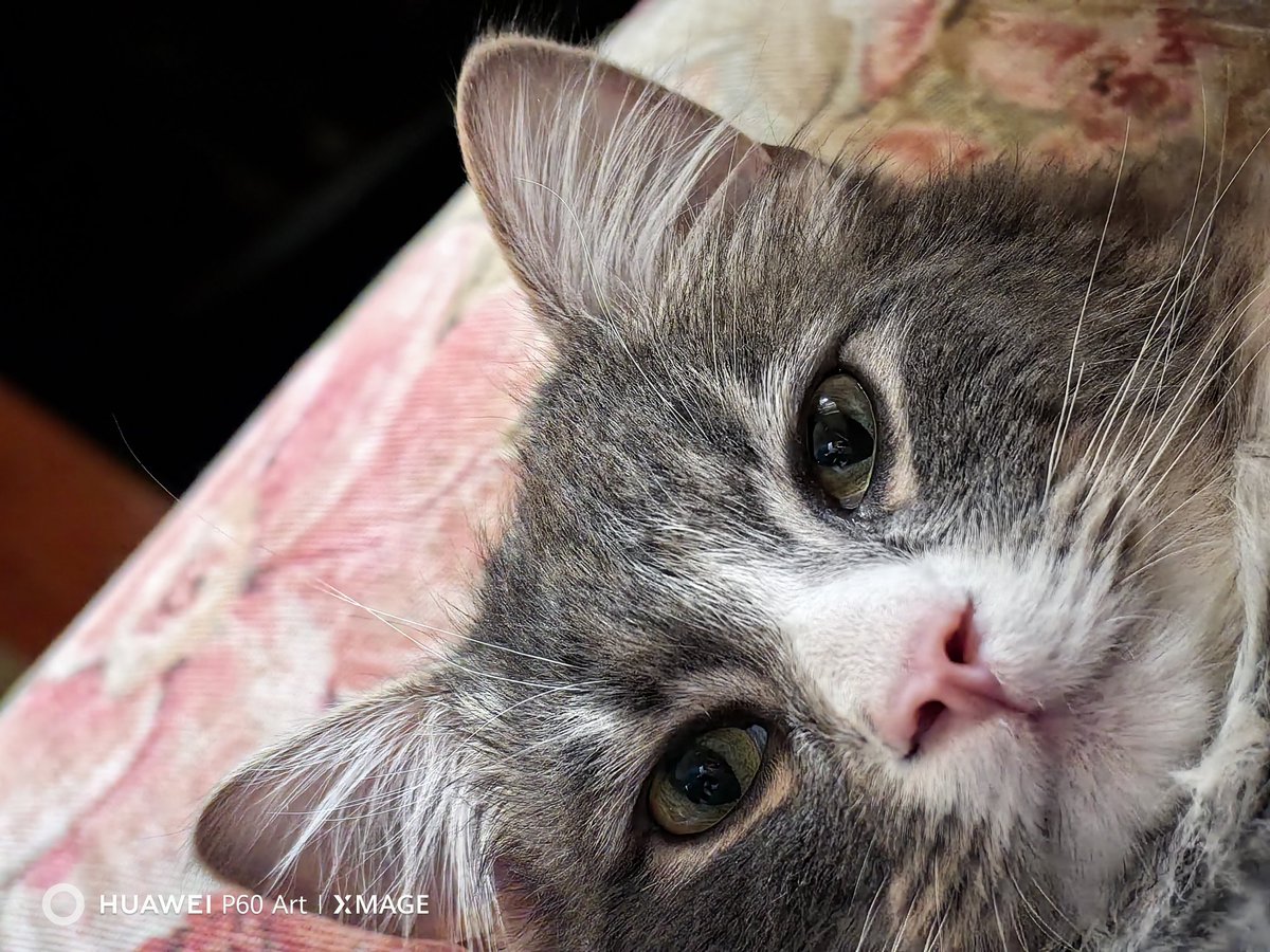 Fabrizio Degni tweet media